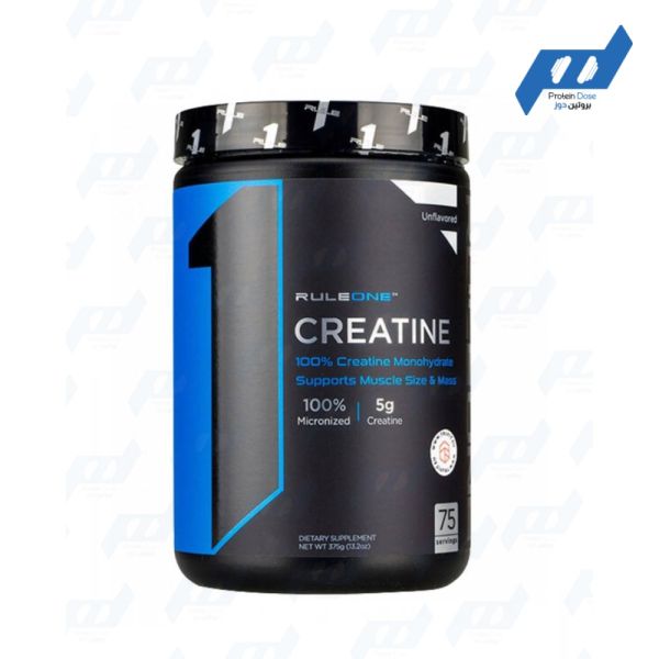 Rule One Creatine Monohydrate 375 g
