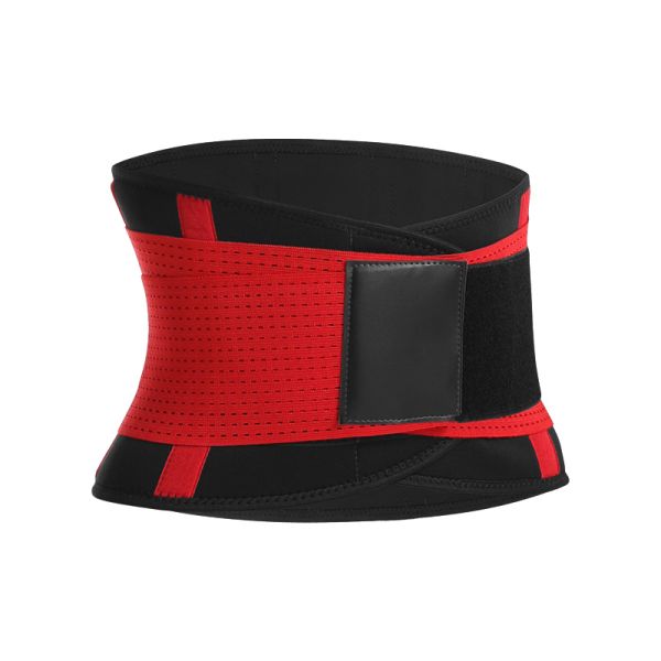 Aolikes Dual Support Adjustable Back & Waist Support Belt