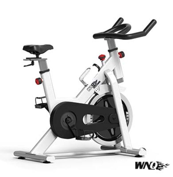 F1-318MG Home Use Spinning Bike
